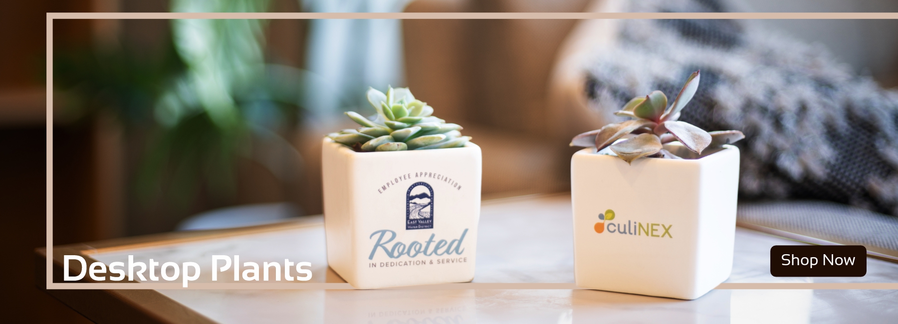 Home Active Life Promo